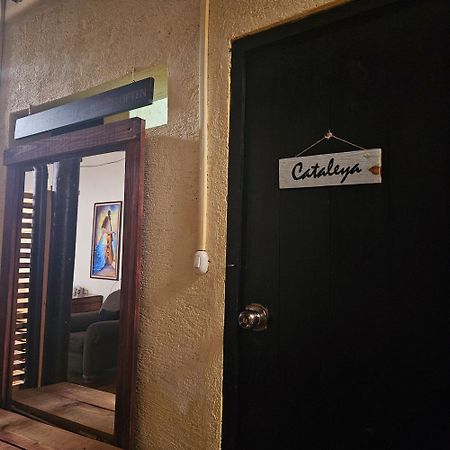 Cermeno'S House Otel Antigua Dış mekan fotoğraf